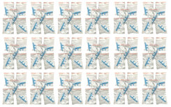 Hydrogen Therapy Nose Pieces (100 pcs)