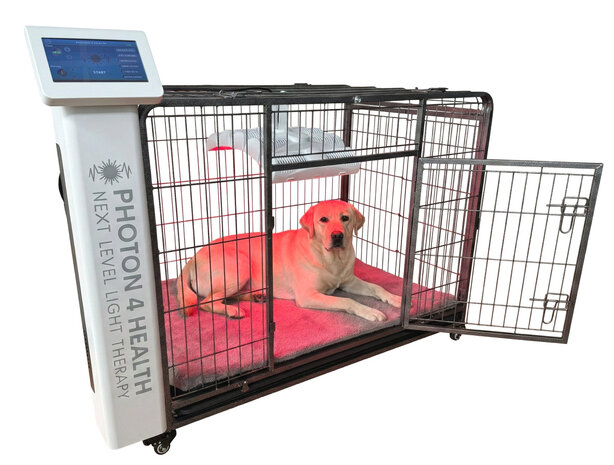 PHOTON 4 HEALTH | REDPOWER&reg; PETS